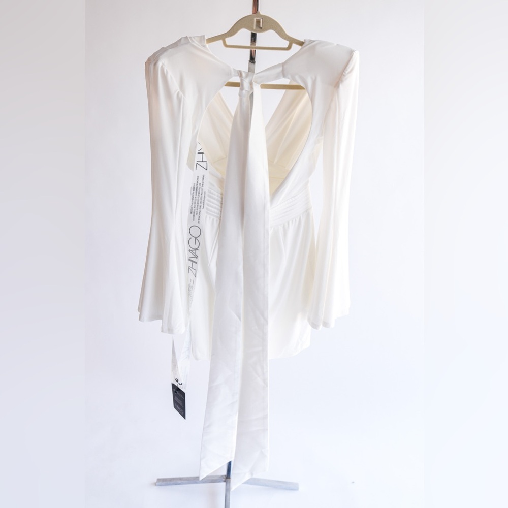 NWT ZHIVAGO THE FAN DRESS Size 6 - Picture 9 of 15